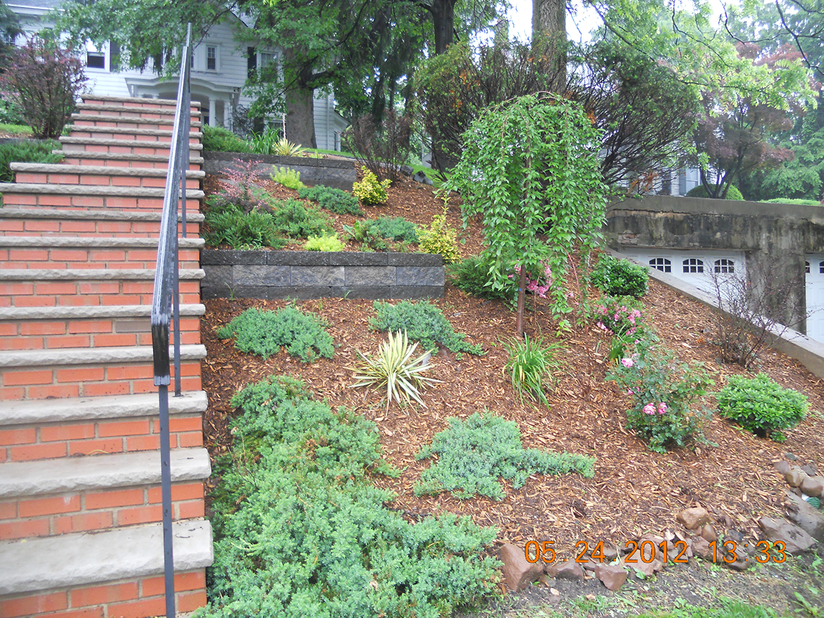 A Steep Sunny Bank