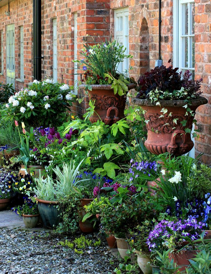 A Tiered Container Garden Southern Patio