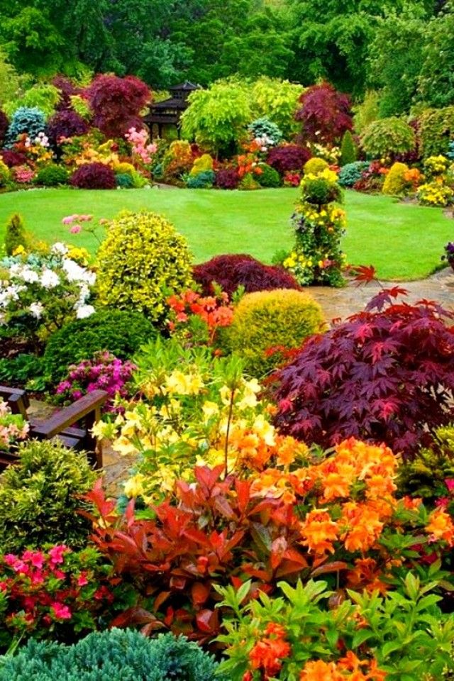 Beautiful Backyard Garden