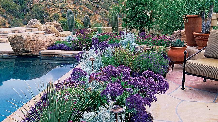 Creative Lawn And Garden Edging Ideas