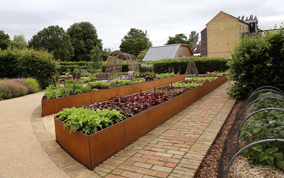 Stunning Vegetable Backyard