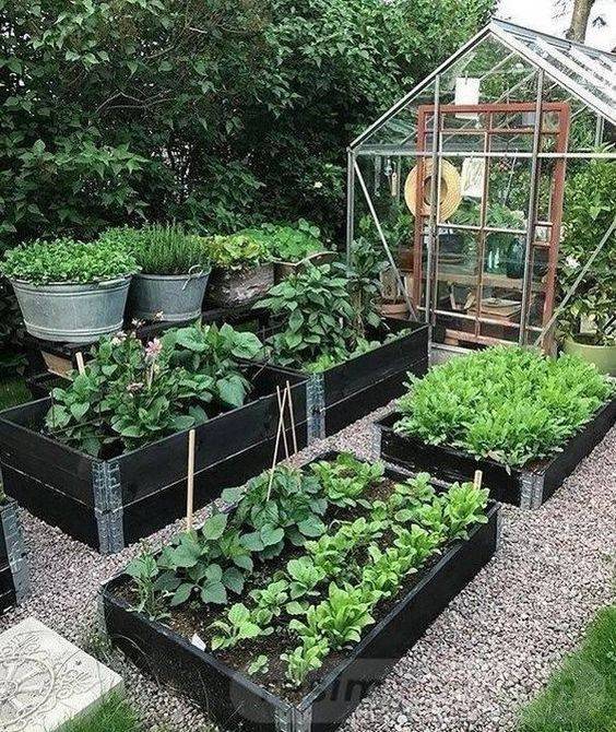 Creative Cheap Garden Edging Ideas