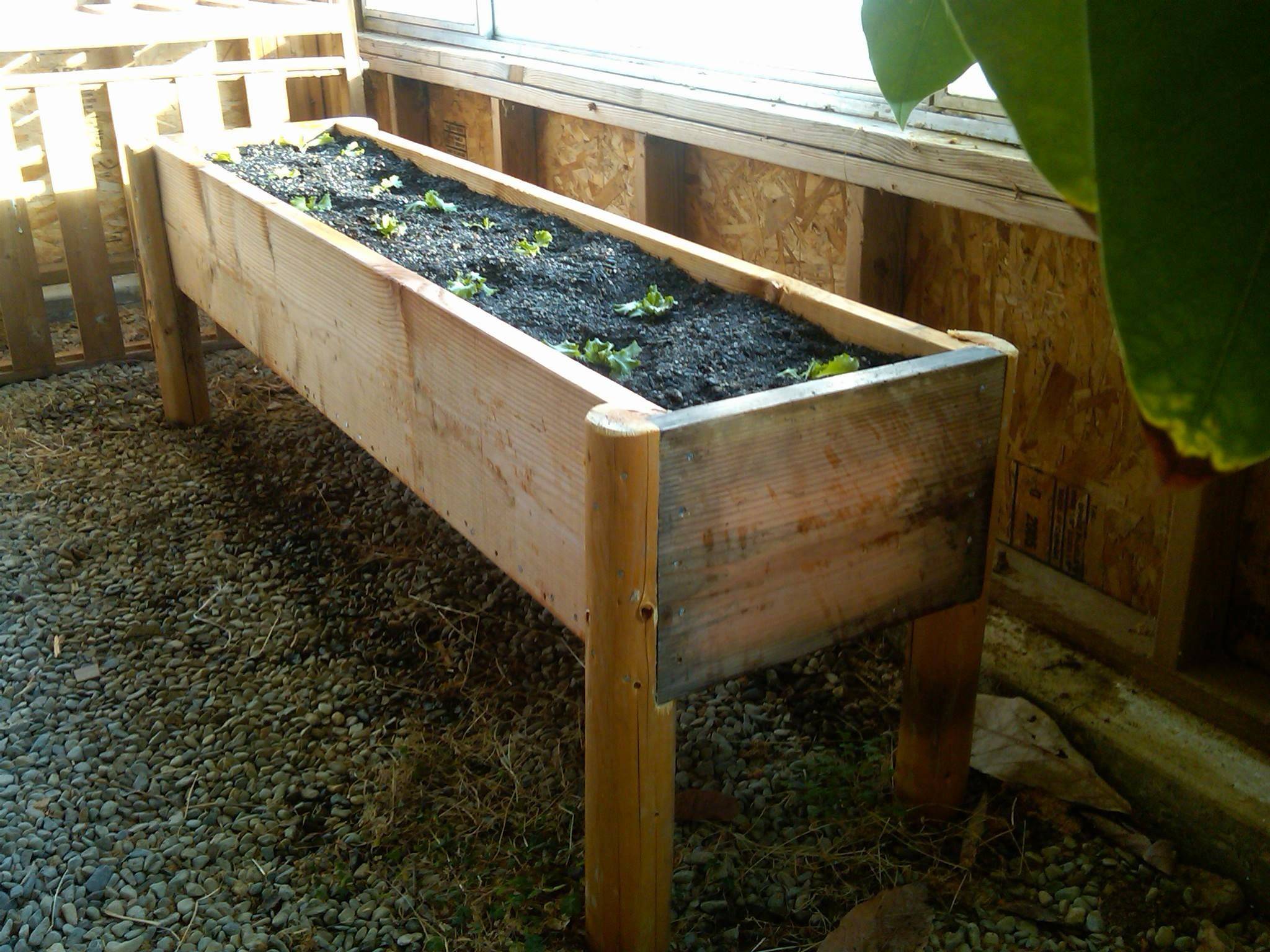 Diy Raised Garden Bed Ideas Instructions