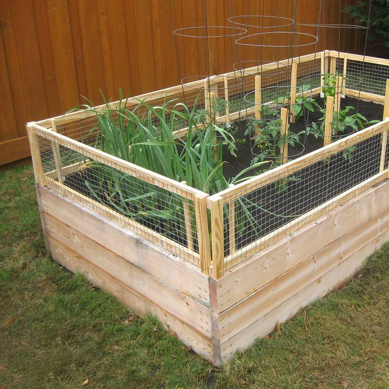 Enclosed Garden Bed Ideas