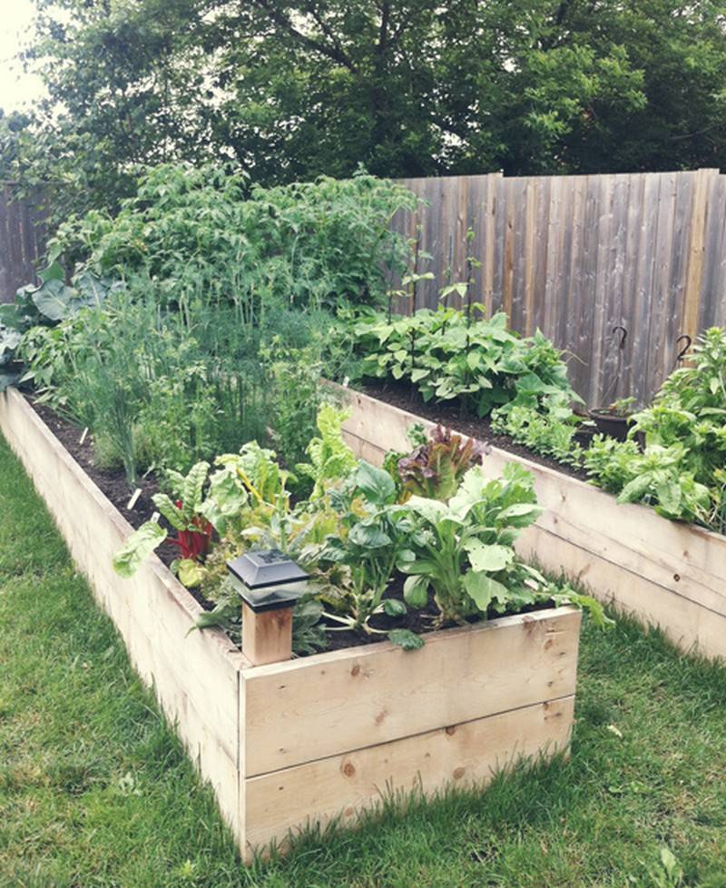 Stunning Diy Garden Pallet Ideas