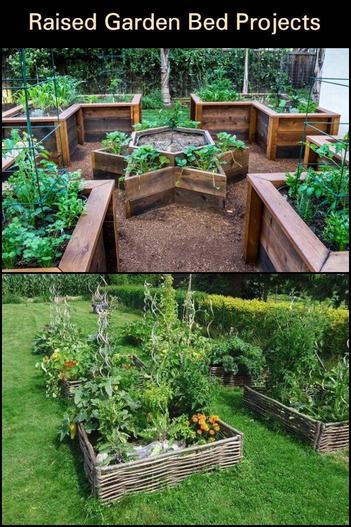 Green Thumbs Diy Garden Projects