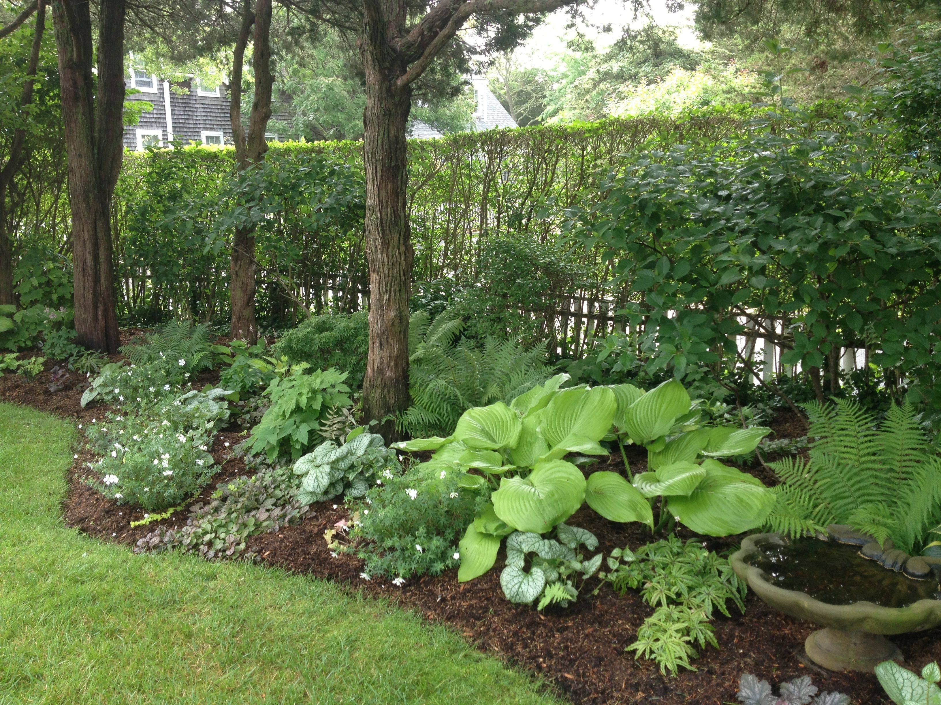 Small Shade Garden Ideas