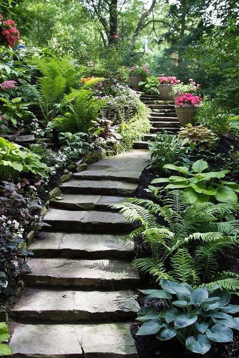 Shade Garden