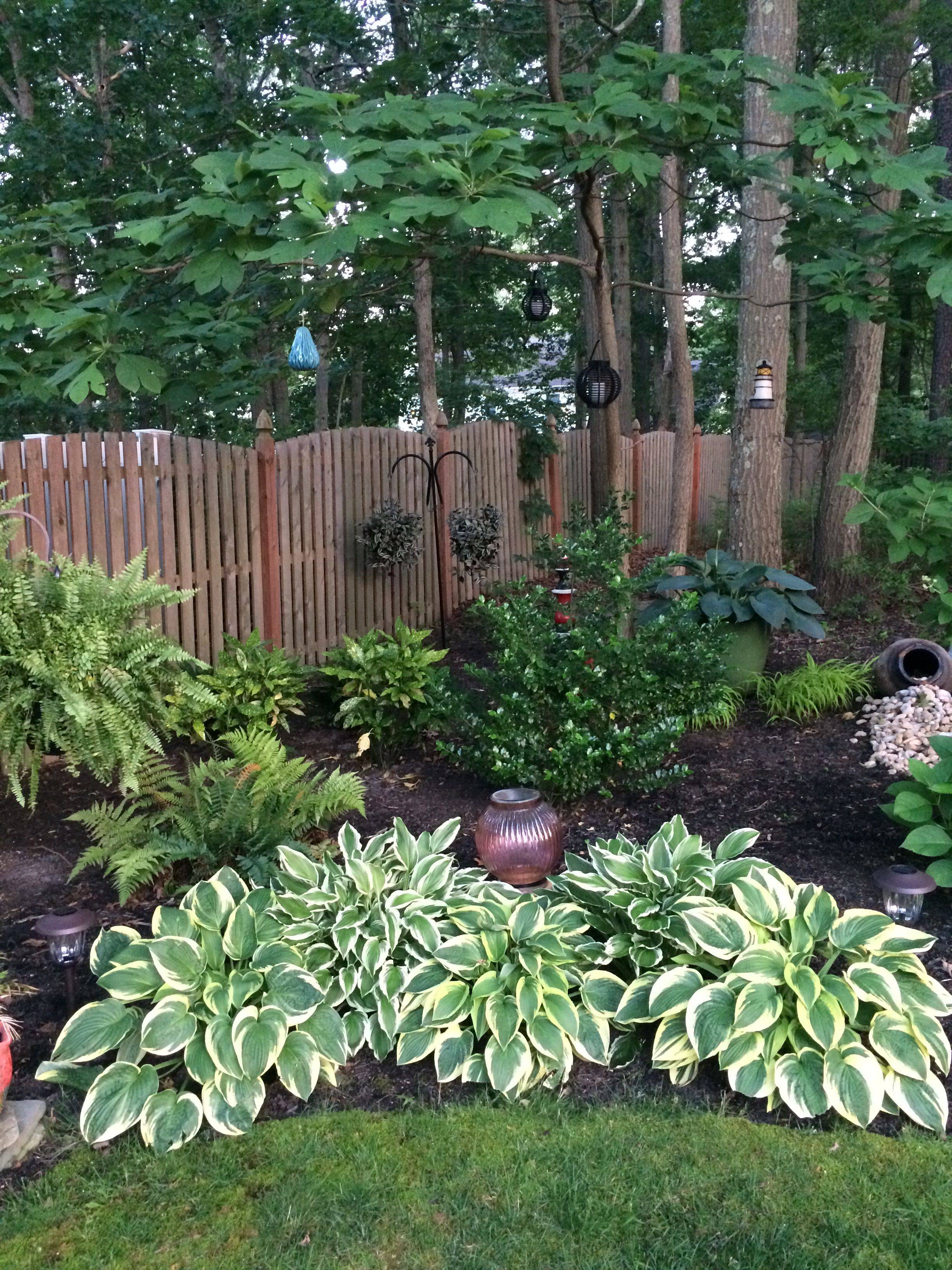 Small Woodland Garden Ideas