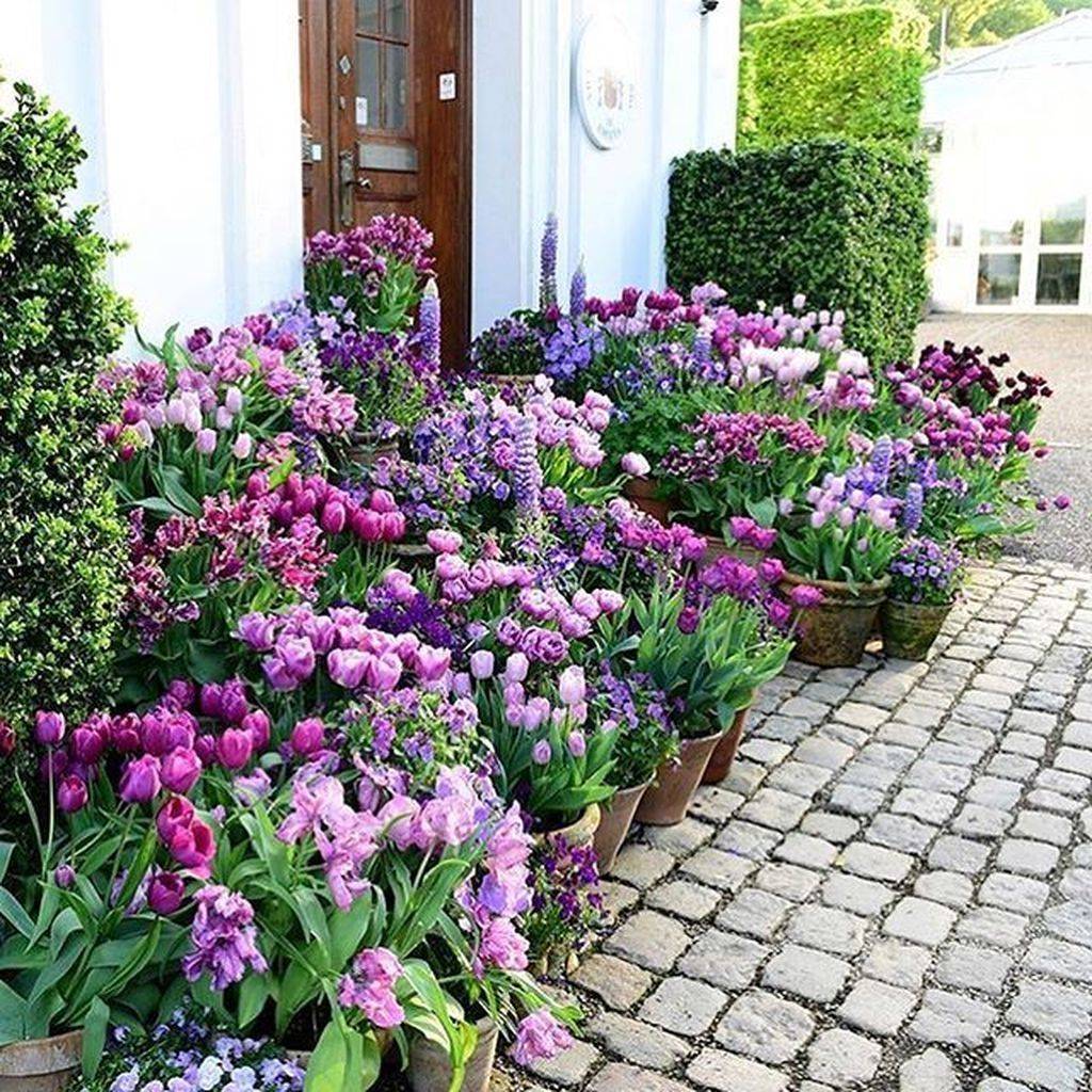 24 Small Space Shade Garden Ideas To Consider | SharonSable