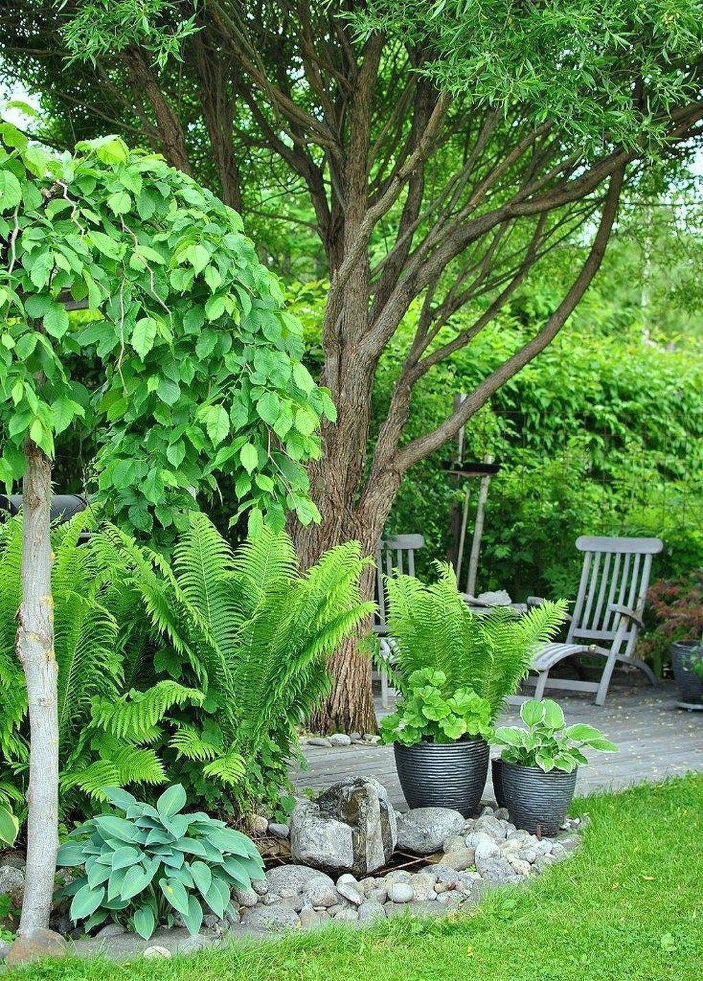 Shade Gardening And Small Space Gardening