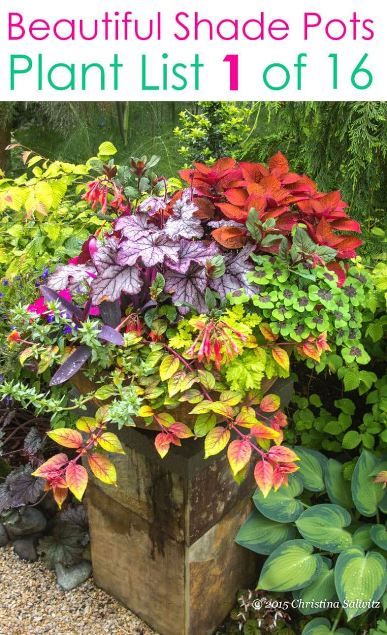 Unusual Colorful Shade Garden Pots Ideas