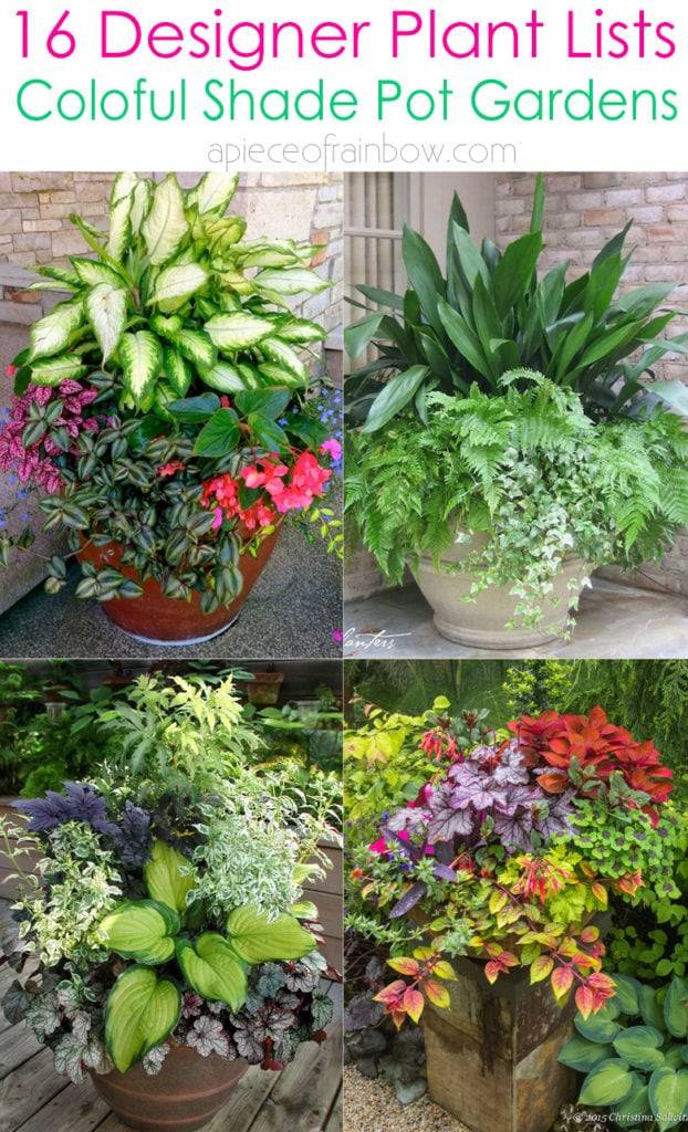 Colorful Shade Garden Pots And Plant Ideas Plants