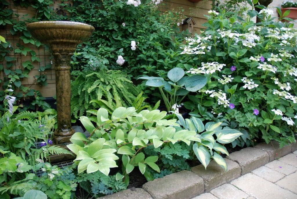 Blooming Cottage Style Garden Ideas