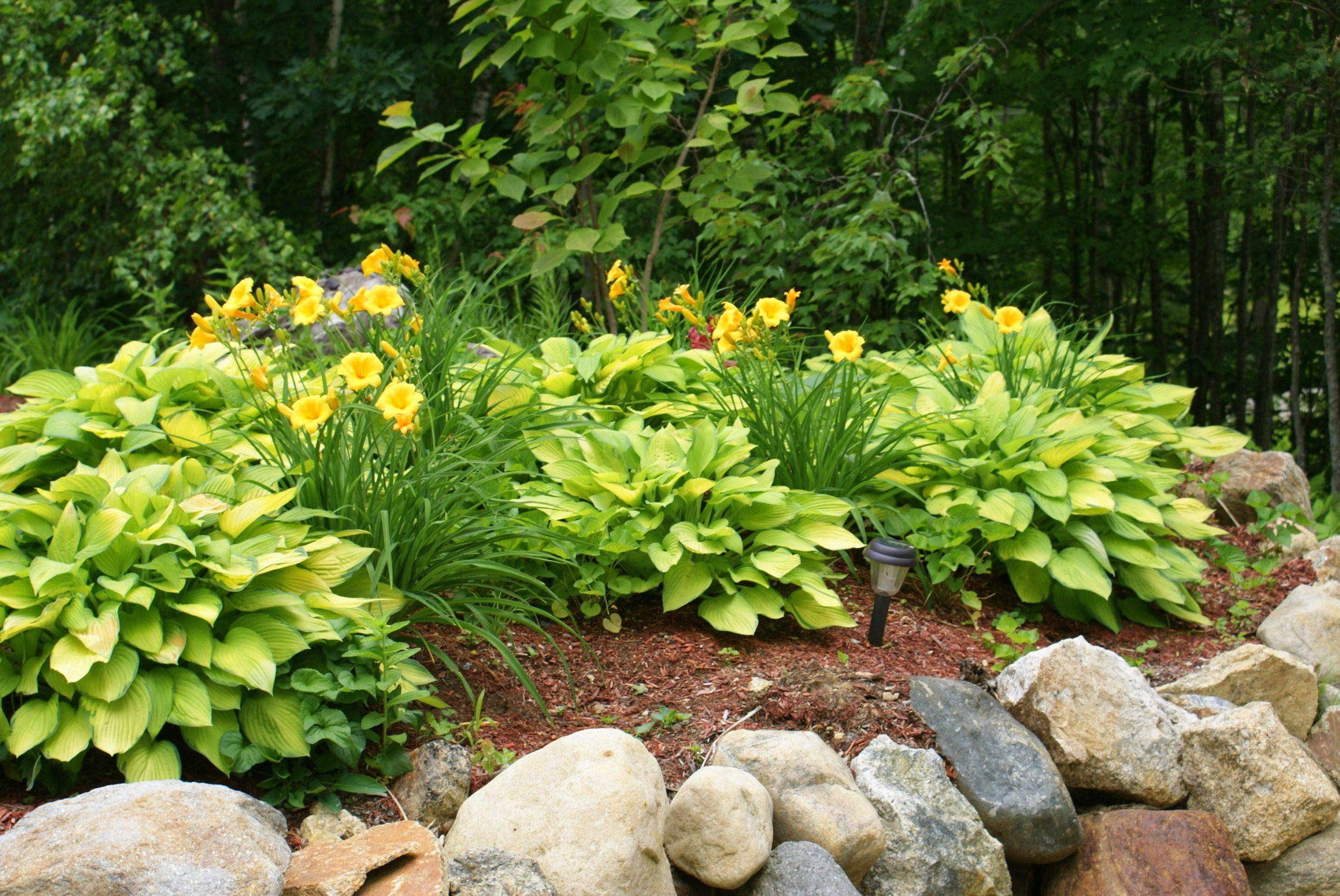 Front Yard Landscaping Ideas