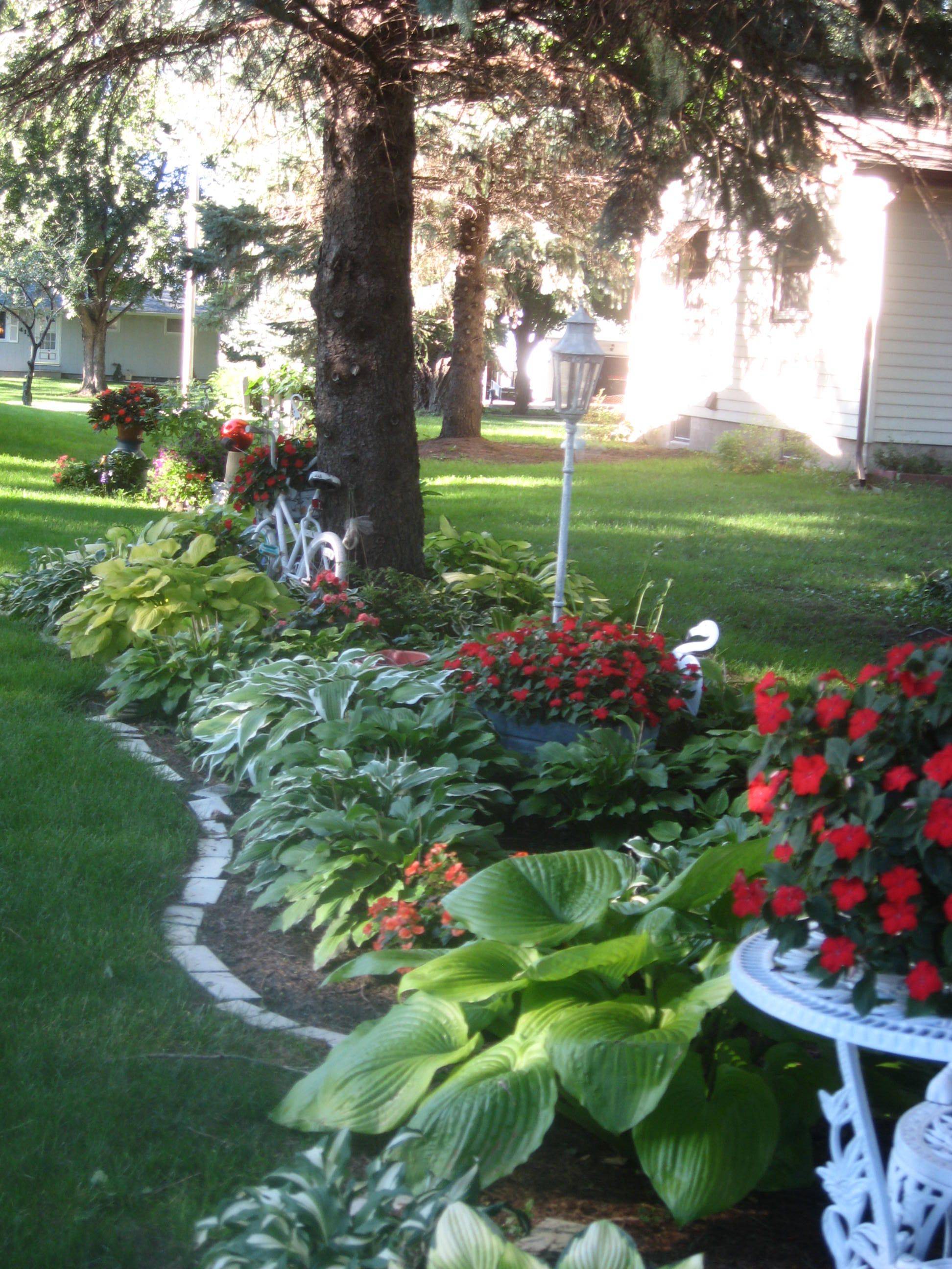 Garden And Landscaping Ideas