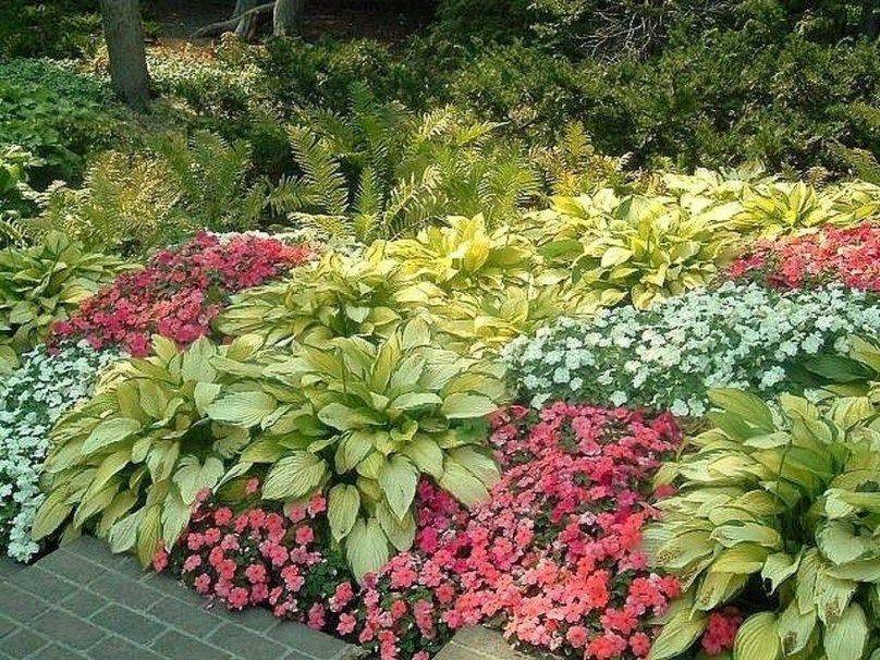 Hosta Landscapes