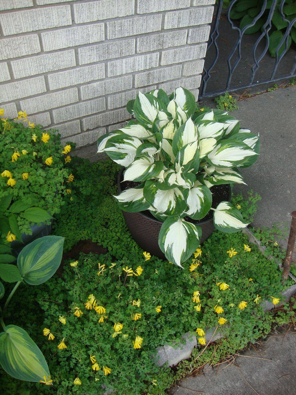 Small Nail Spa Salon Interior Design Outdoor Plants