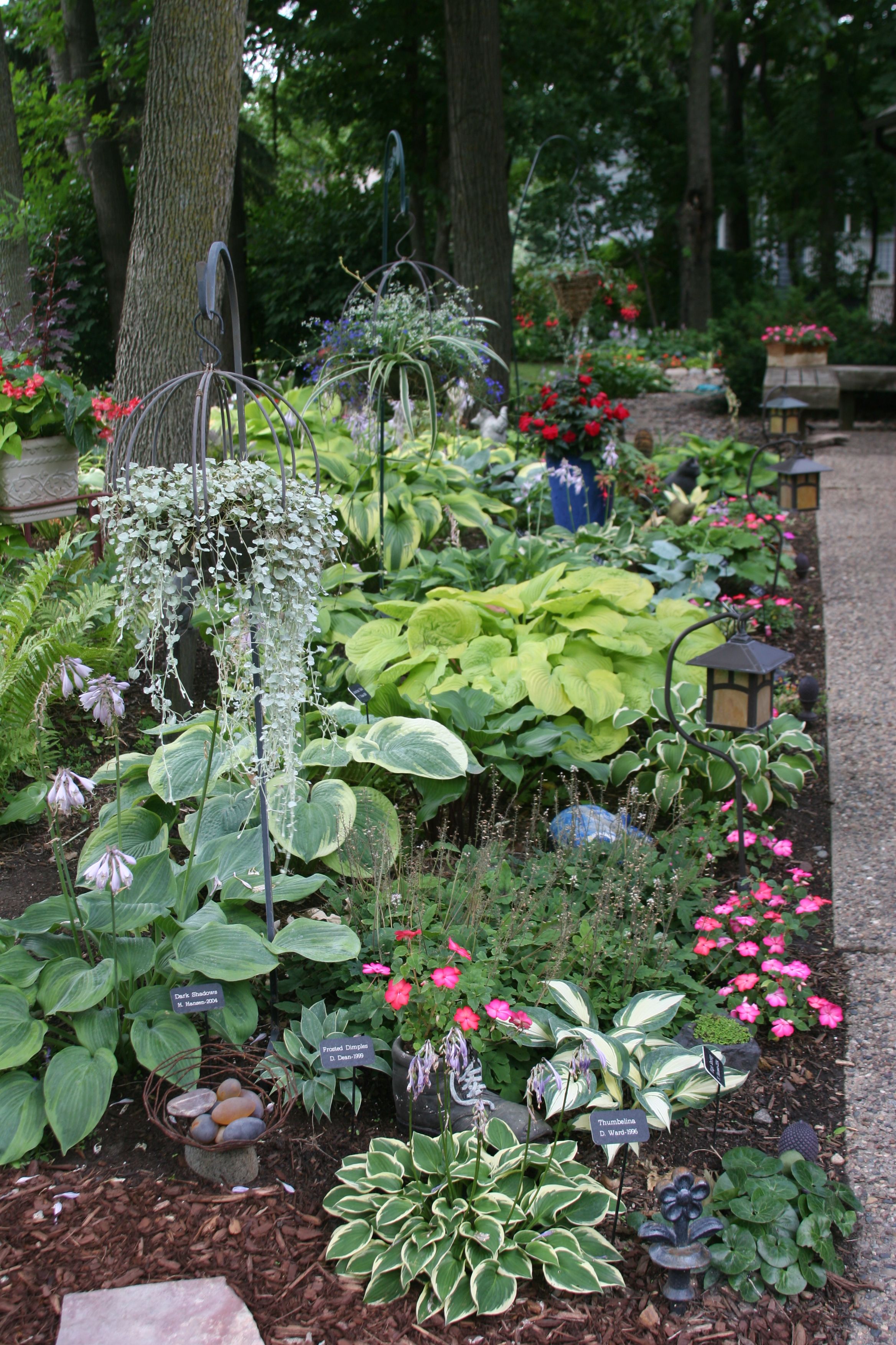 Garden Design Ideas