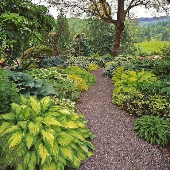 Garden Design Ideas
