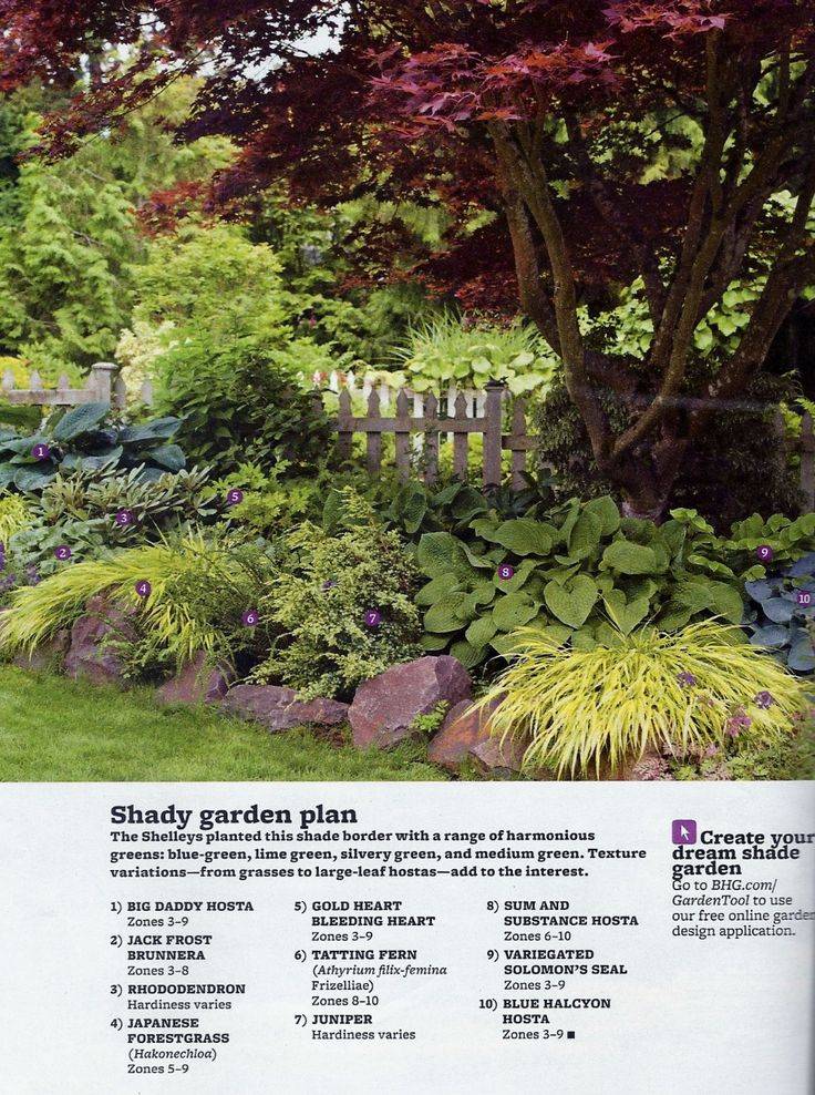 Shade Garden Ideas Zone Decorating Inspiration