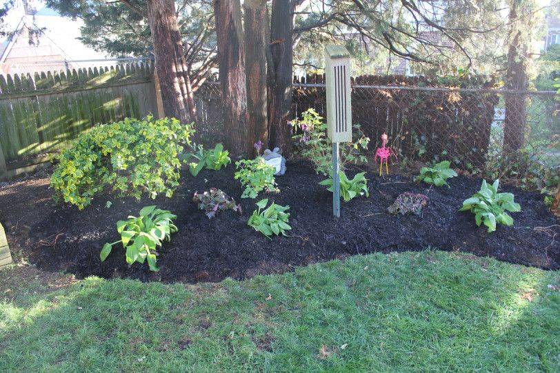 19 Shade Garden Plans Zone 6 Ideas For This Year SharonSable