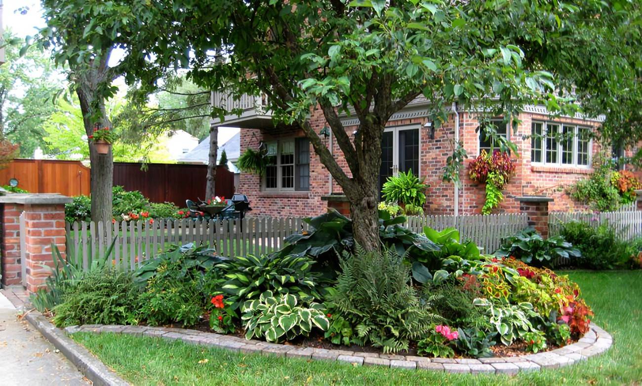 Backyard And Front Yard Landscaping Ideas