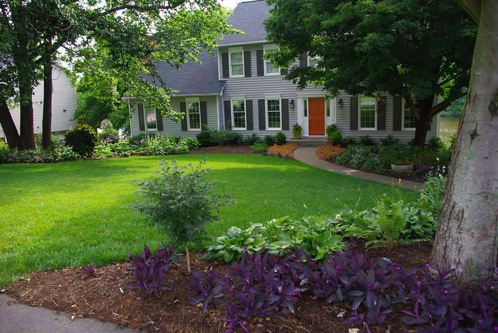 Shade Landscape Patio Small Flower Garden Design Designs Fascinating