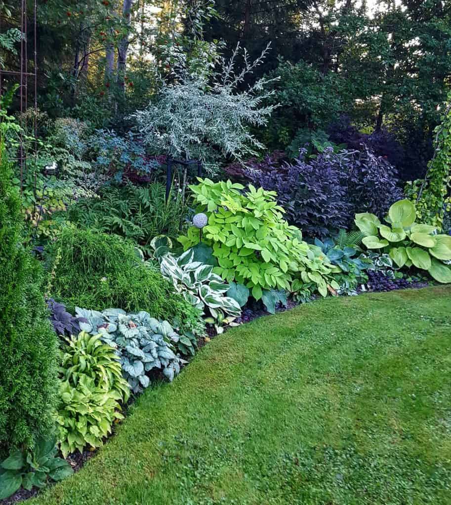 Nice Full Shade Garden