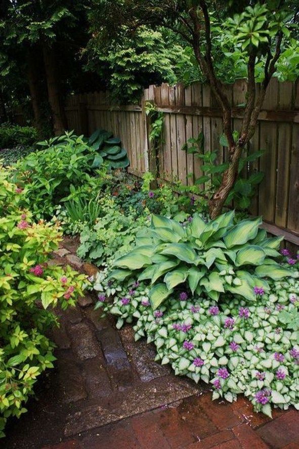 Top Best Shade Garden Ideas