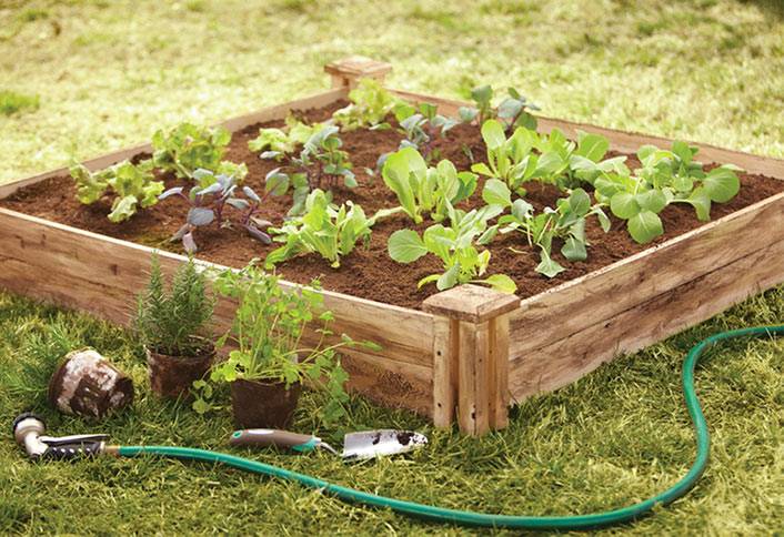 Raised Garden Bed Elevated Wood Planter Box Stand