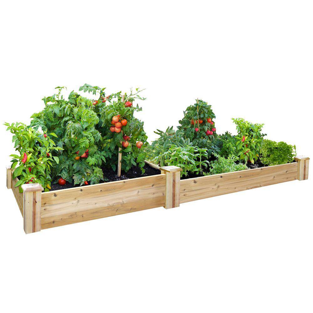 Western Red Cedar Raised Garden Bed