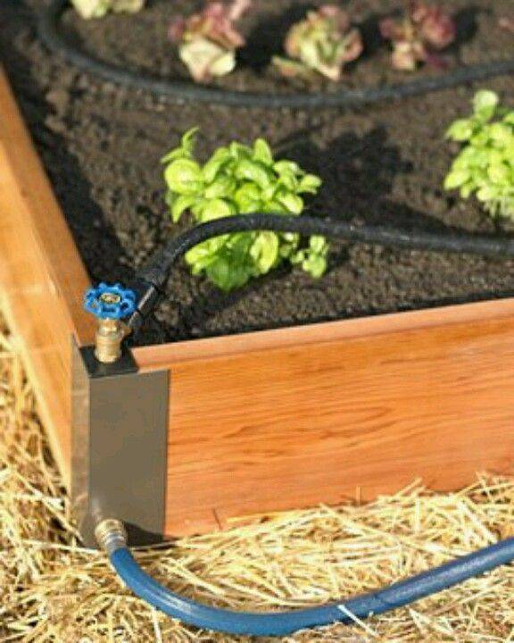 23 SelfWatering Raised Garden Beds Ideas Worth to Check SharonSable