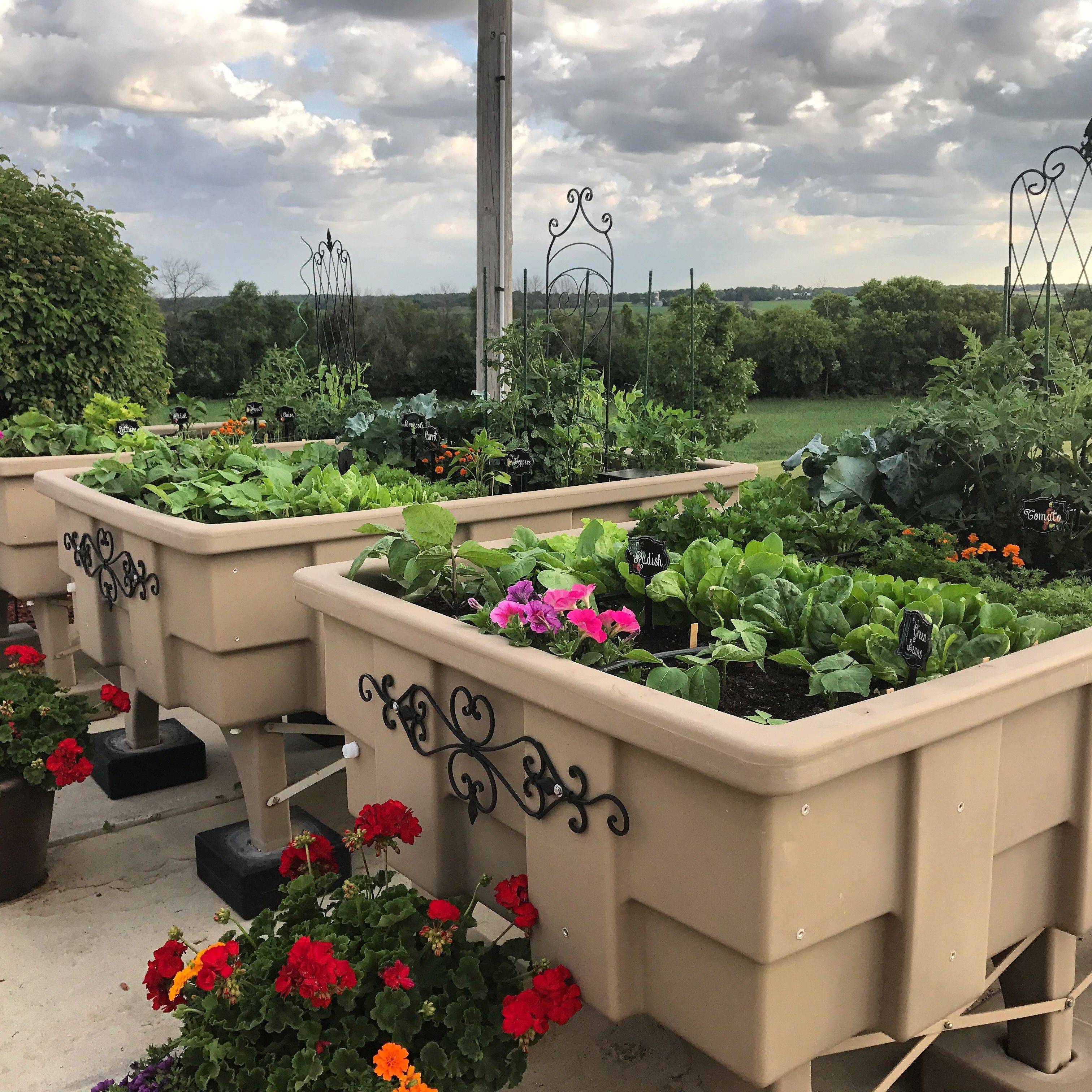 Self Watering Garden Bed Backyard Landscaping