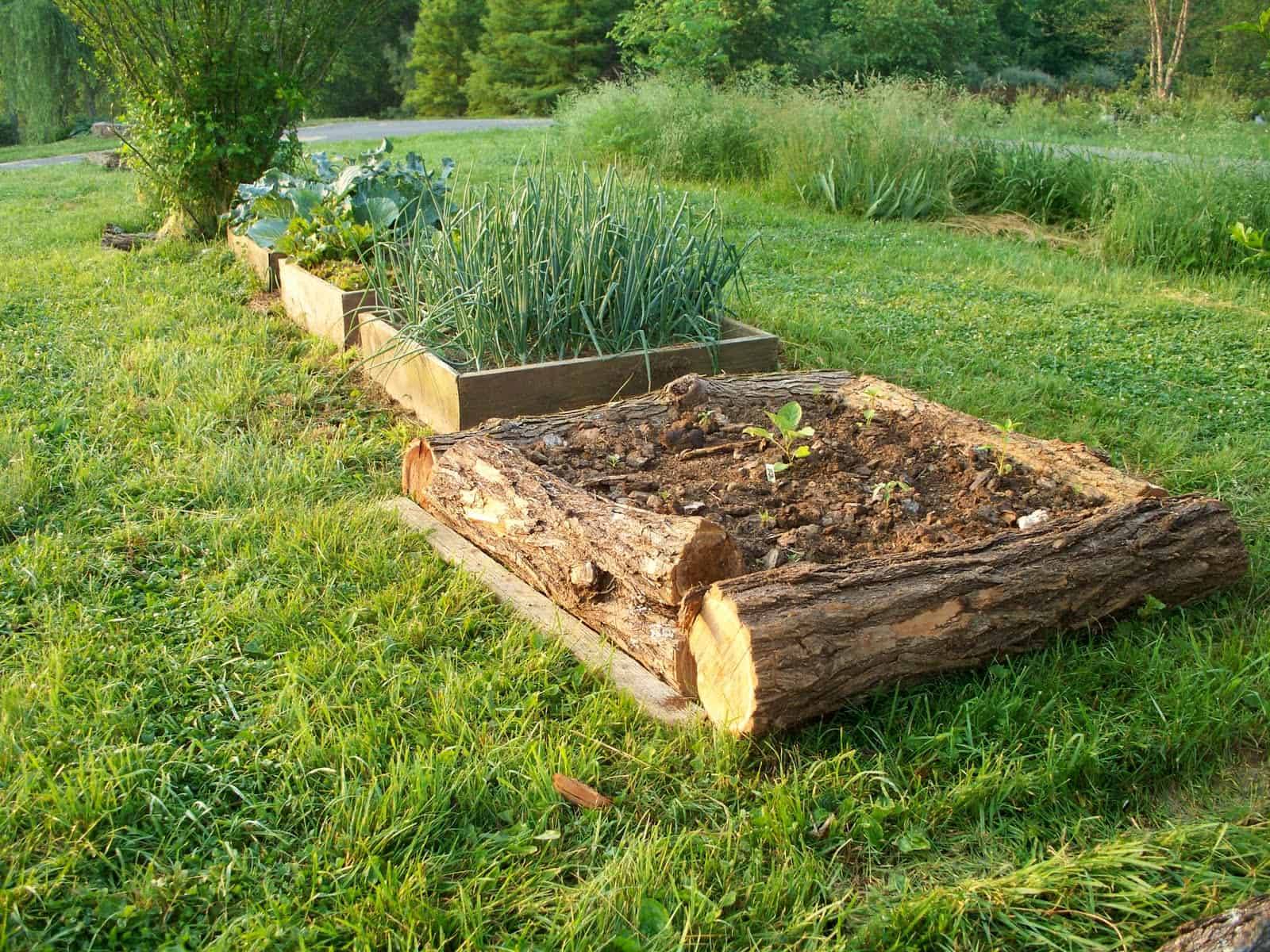 Rustic Elevated Garden Bed