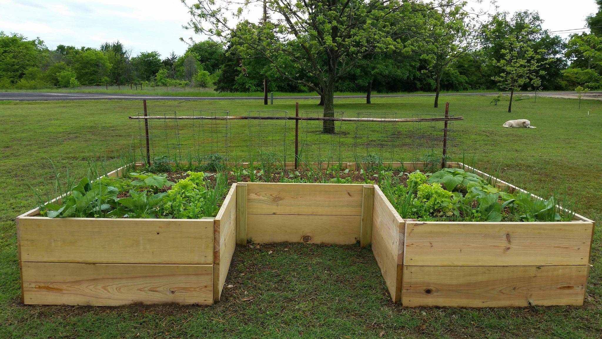 Ft Raised Garden Bed Outdoor