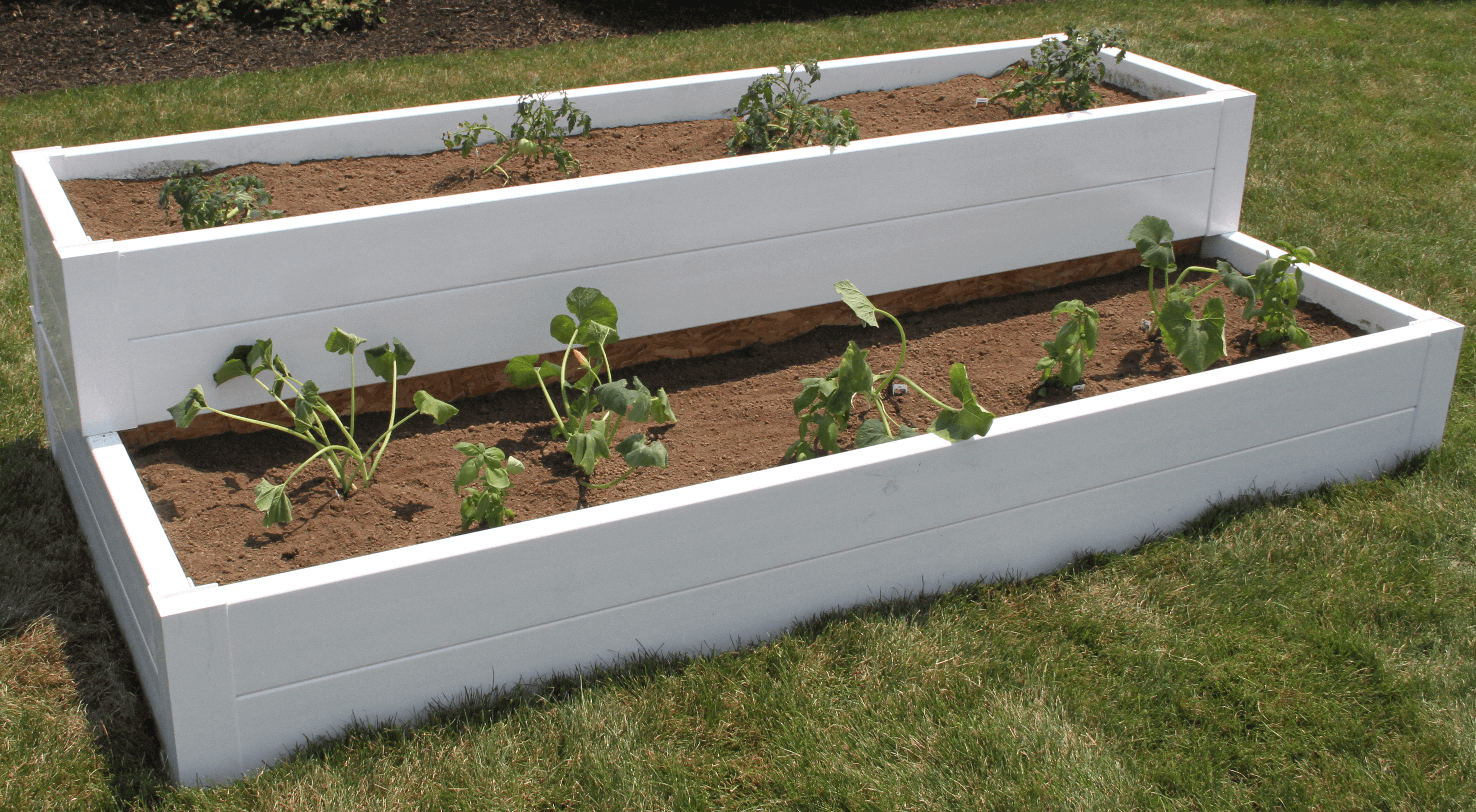 Modern Garden Design Low Maintenance Scheme Fake Grass