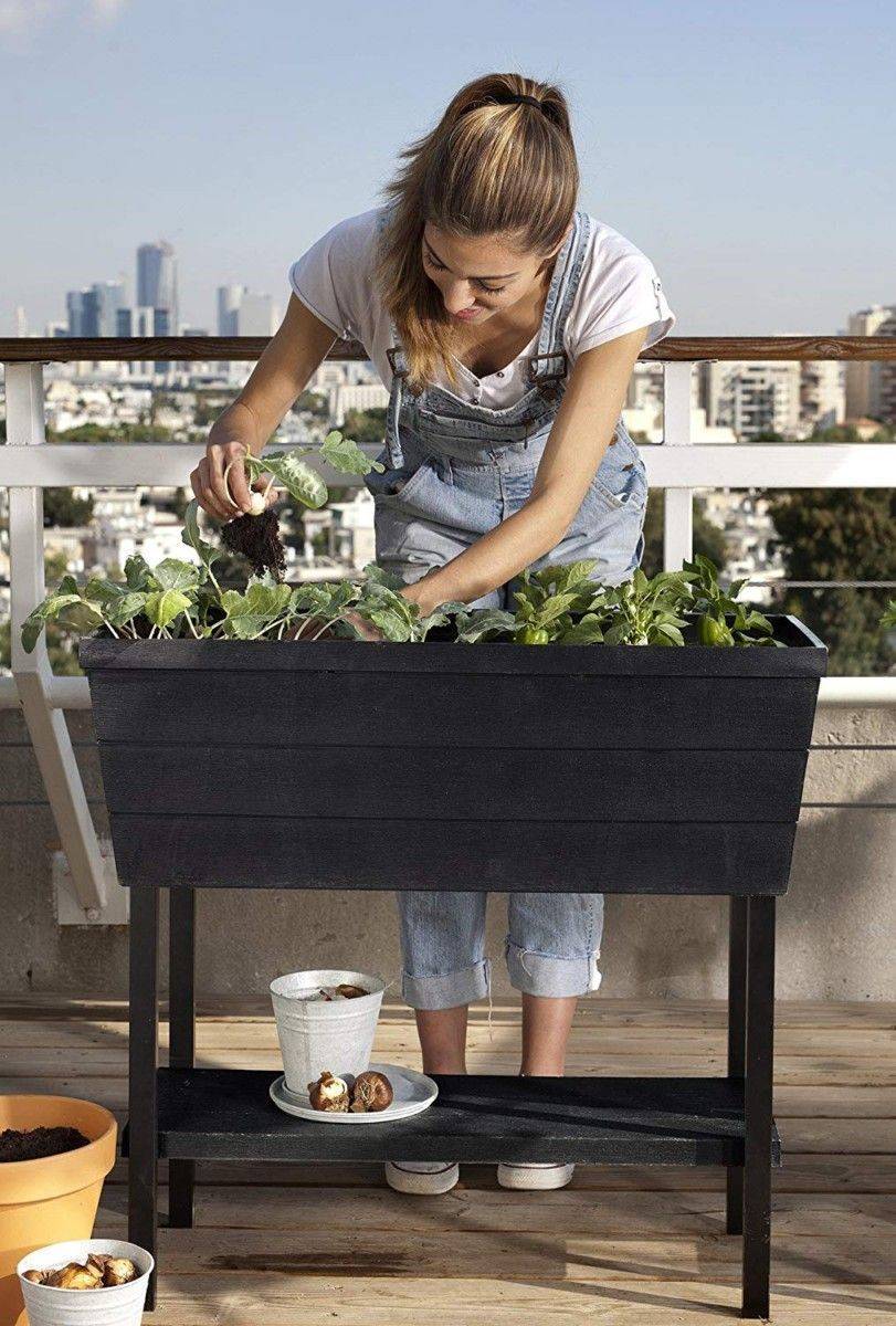 14 Keter Raised Patio Garden Bed Ideas You Must Look SharonSable