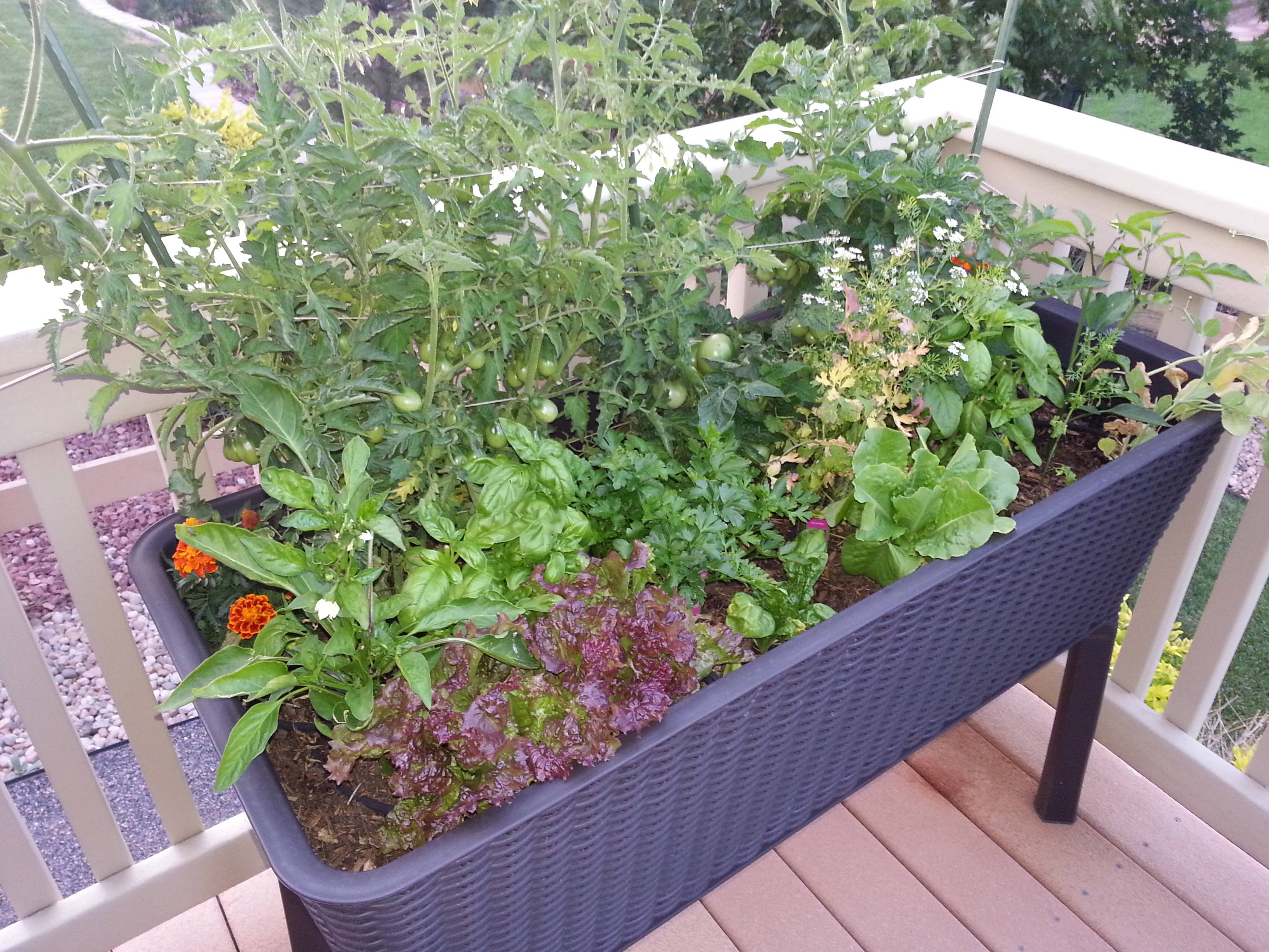 14 Keter Raised Patio Garden Bed Ideas You Must Look SharonSable