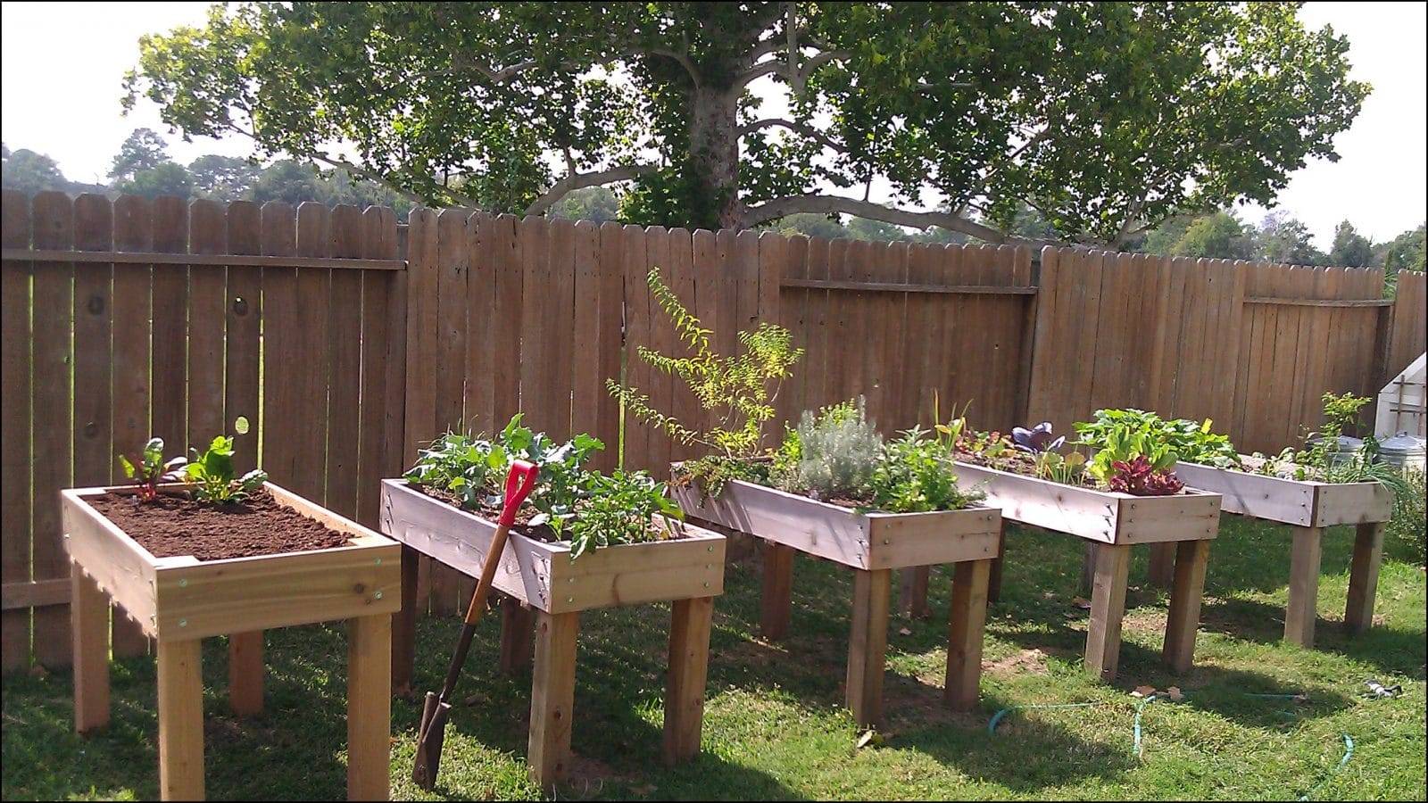 Easy Inexpensive Waist High Raised Garden Bed Ideas