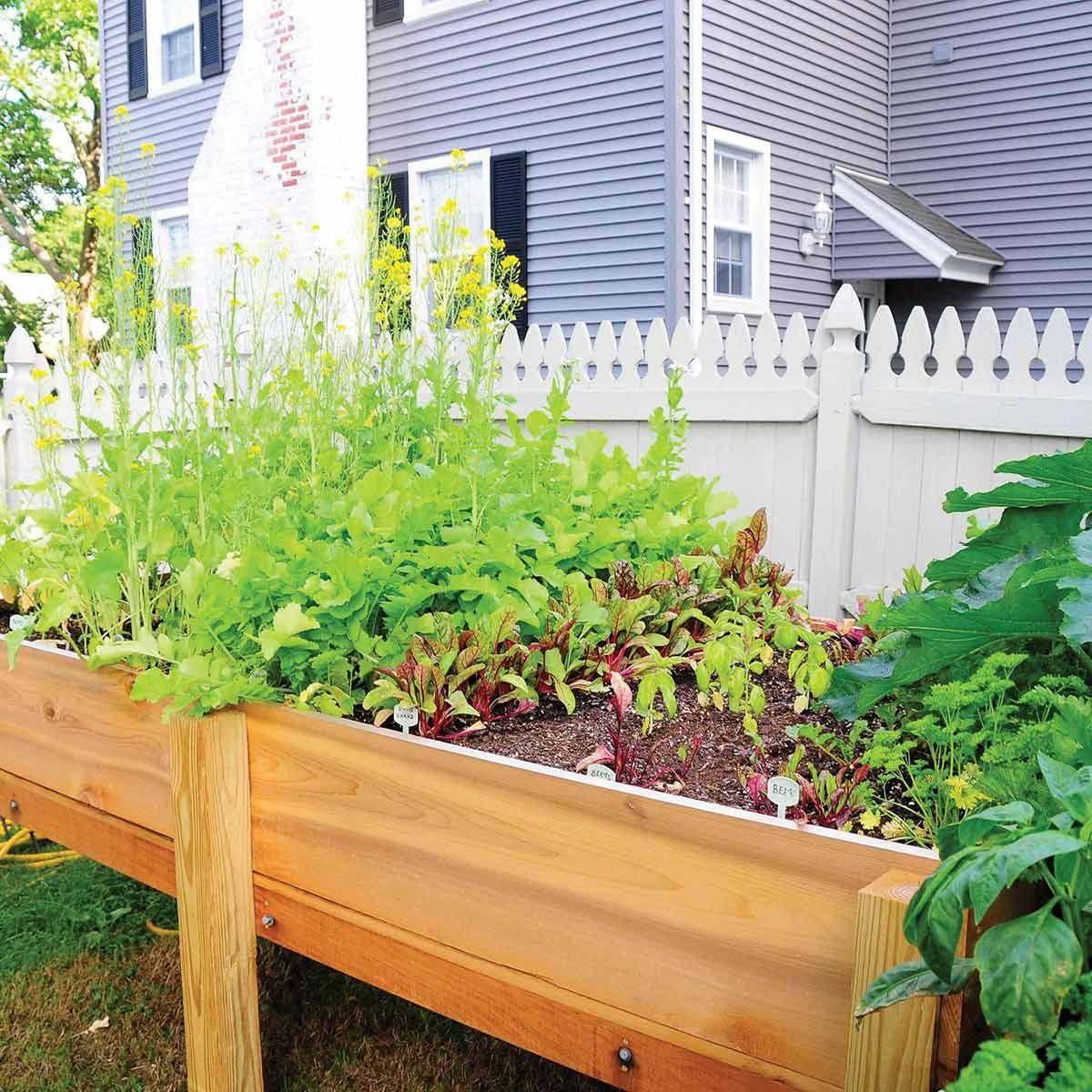 Raised Garden Beds Ideas Decoration Channel