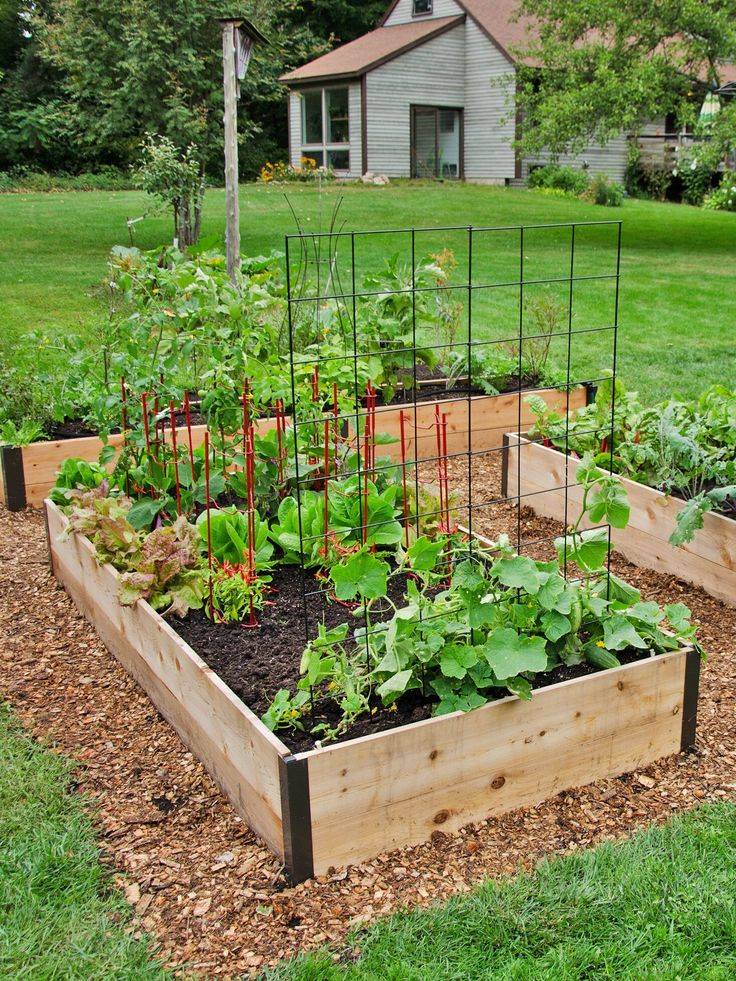 Tall Raised Garden Beds