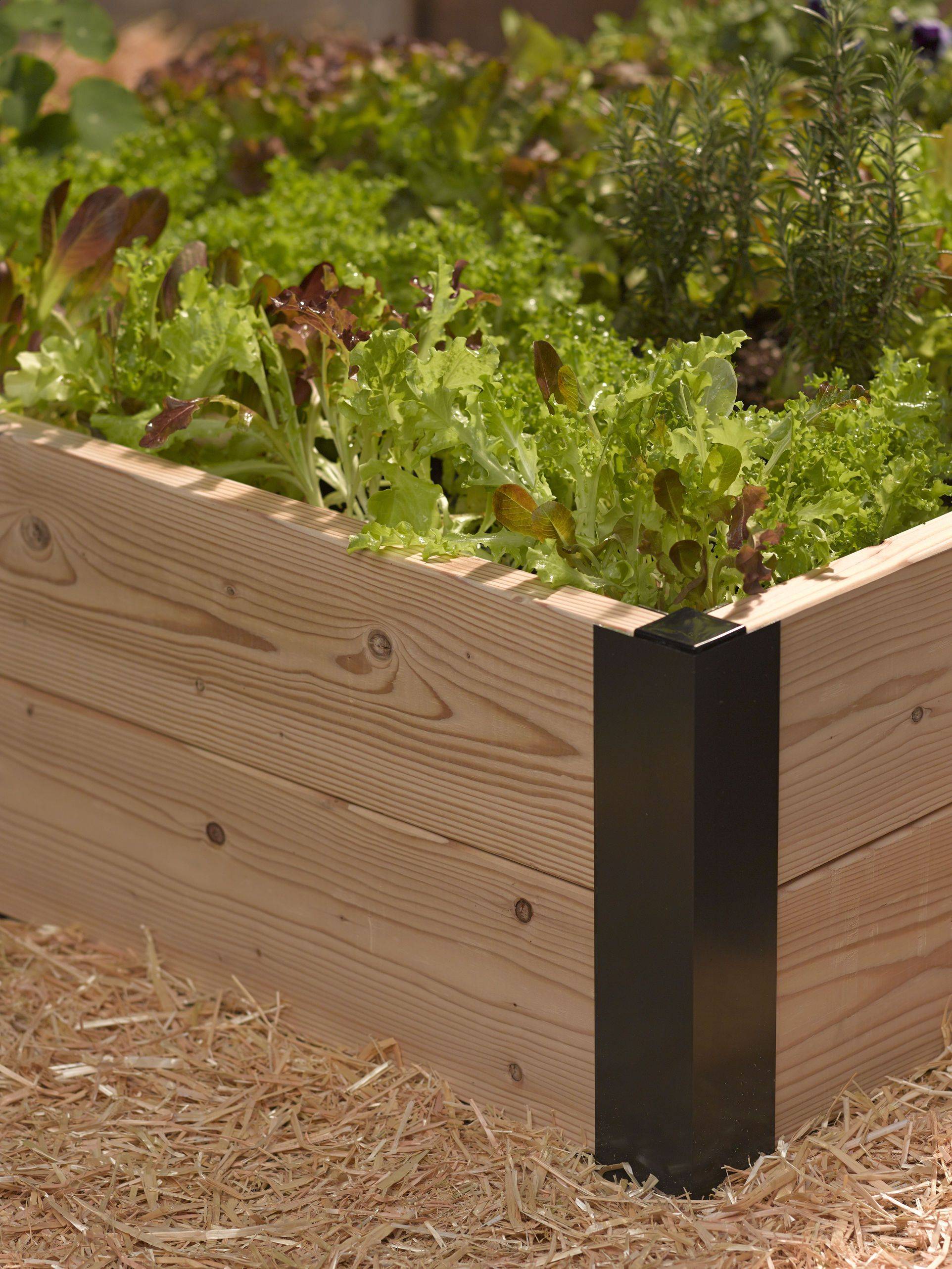 Lifetime Raised Garden Bed
