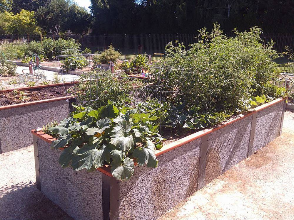 Lifetime Raised Garden Bed Review
