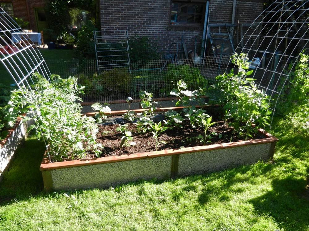 The X Lifetime Raised Garden Bed