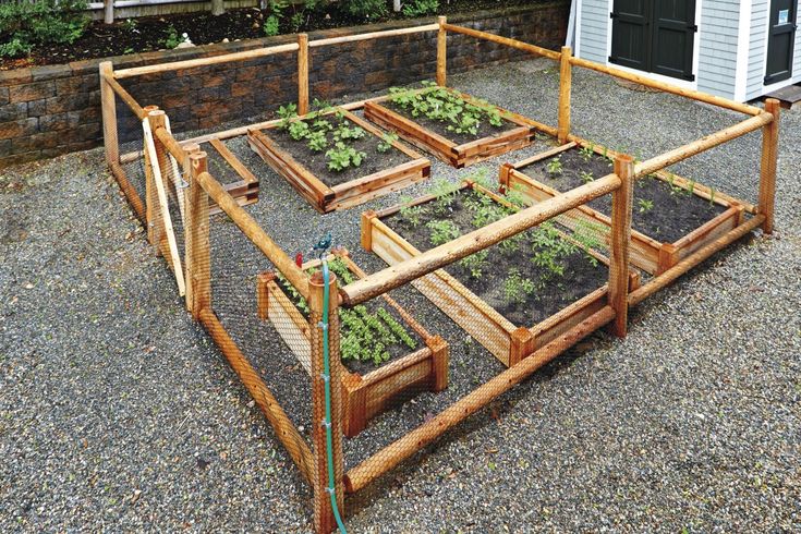 This Removable Raised Garden Bed Fence