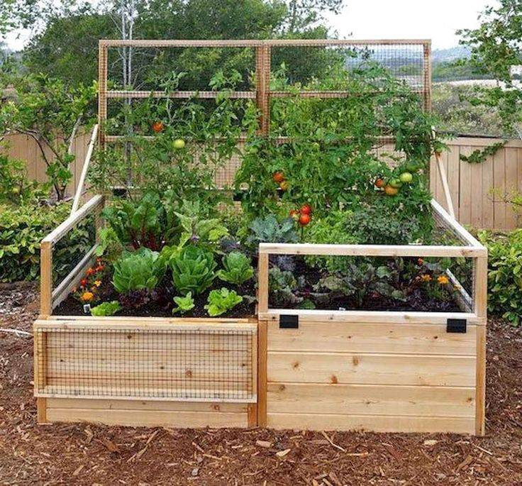 Frugal Raised Garden Beds