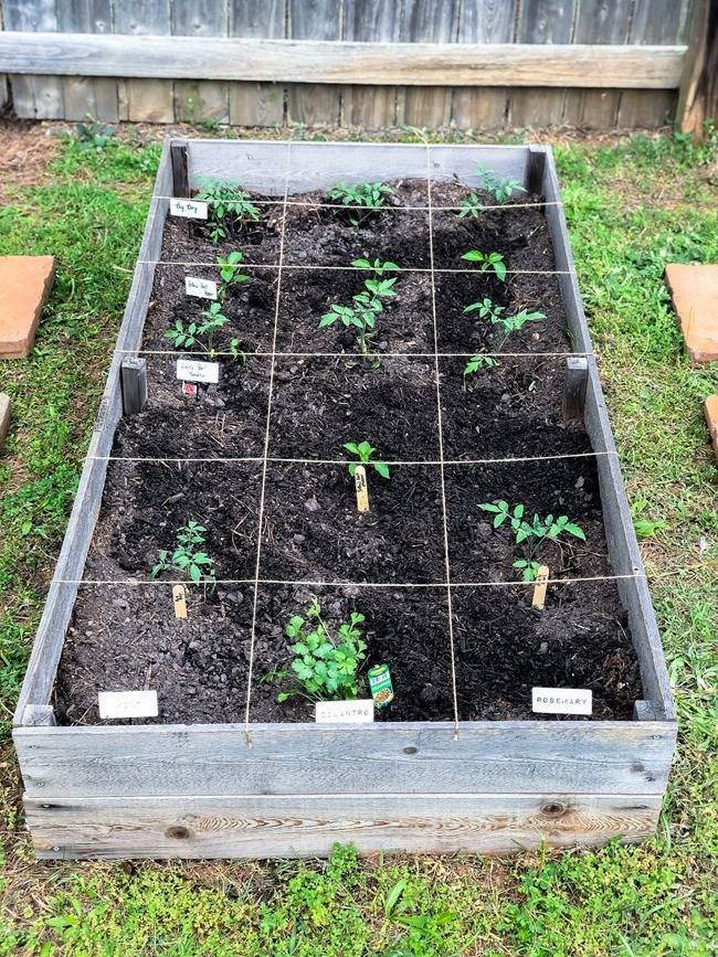 Best Backyard Vegetable Garden Designs Ideas Frugal Living Diy