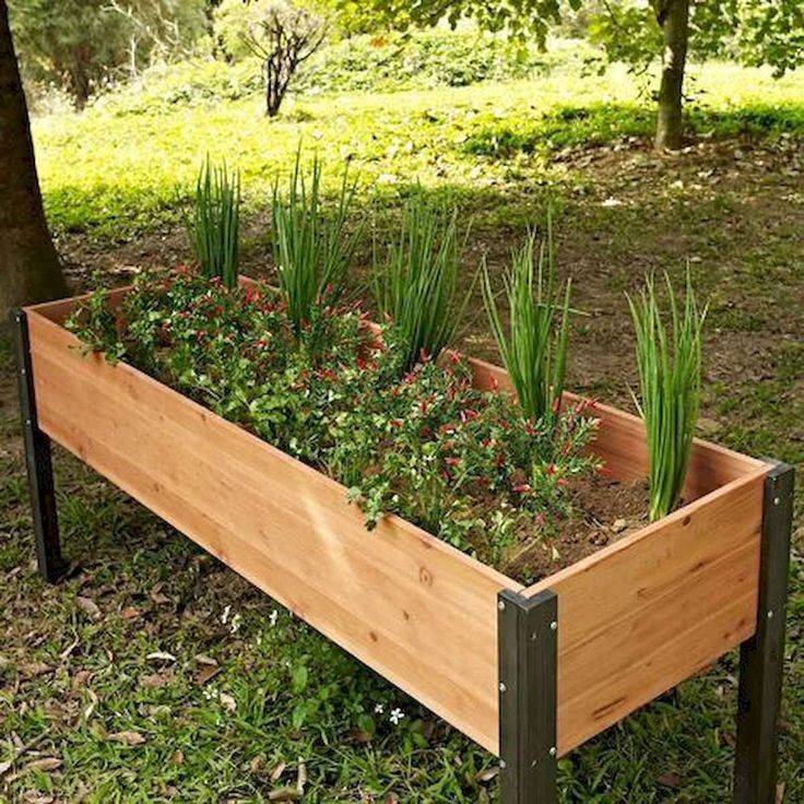 Cheap Frugal Gardening