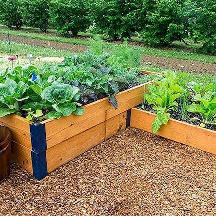 Inspiring Diy Projects Pallet Garden Design Ideas Frugal Living